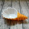 Porcelain Conch Candy Dish