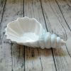 Porcelain Conch Candy Dish