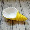 Porcelain Conch Candy Dish